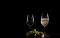 Prosecco Tulip Glass — Set of 6 — 240 ml / 8 oz